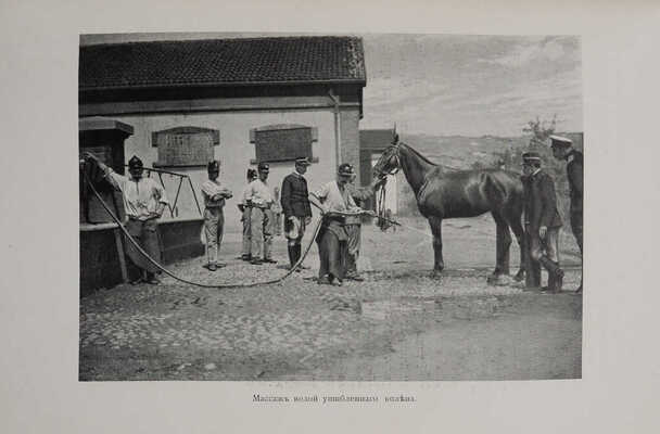 Итальянская кавалерийская школа и новый метод полевой езды и обучения ей. СПб., 1911.